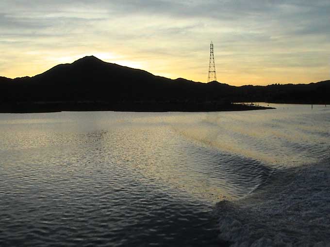 Larkspur Ferry To San Francisco